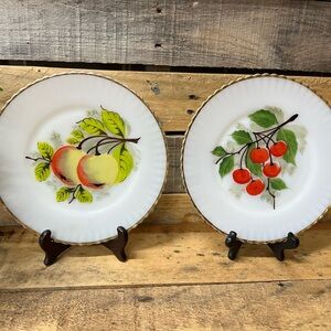 Set of 2 Decorative Vintage Hand-painted Porcelain Kitchen Fruit Plates